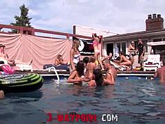 Group Sex Party Orgy - Orgy Free sex videos - Gorgeous couples take part in the amazing orgies /  TUBEV.SEX